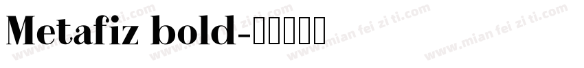Metafiz bold字体转换